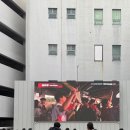 충장맥주 | 광주 충장로 술집 광주 스포츠중계 야구 중계 충장로 기아타이거맥주 솔직후기