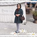 새만금꽃화원 이미지