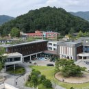 판둔 프레시안