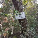 금남기맥 제6구간: 거점재 - 용천산 – 미산재 - 대명산 - 망경산 - 고봉산 – 용화산 - 칠거리재 이미지