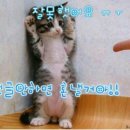 좋은소식 이미지