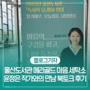 동화세탁소 | 울산도서관 메리골드 마음 세탁소 윤정은 작가와의 만남 북토크 후기