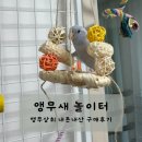 앵무상회 구매후기 앵무새놀이터재료 네트망활용 내돈내산