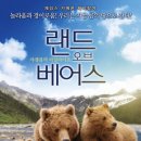 베어스 이미지