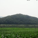 섬강노래방 이미지