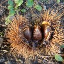 달맞이 펜션 이미지