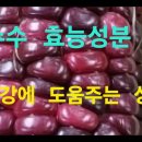 옥수수 건강한 식품으로 효능을 알아봅니다 이미지