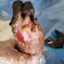 강서스마일재가센터 이미지