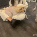 독크루북구점 이미지