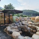 스테이 선광 이미지