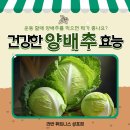 라반휘트니스 성포점 이미지