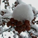 웰리스짐 이미지