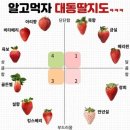대동복사 이미지