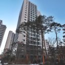 새마을부동산중개사사무소 이미지