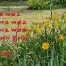 스마트폰 사진교실2 이미지