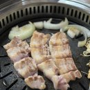 메밀꽃돼지 이미지