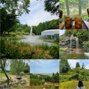 신정호관광지 | 타고 다녀온 피나클랜드/시내버스 시간표/카페 먹거리장터 후기/신정호 관광지/온양온천역 호두과자