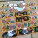 설악초등학교 이미지