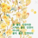 6월 3일 (월) ^^^토끼 사랑방^^^ 이미지