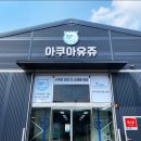 아쿠아유쥬