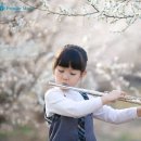 플루트 이미지