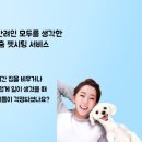 강아지를부탁해(돌봄) 티스토리