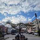 구 동본원사 목포별원 | 💝(12)근대의 숨결이 깃든 도시 목포 중앙교회 옛터 민주화의 성지 (구 등본원사 목포병원)