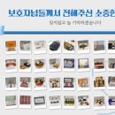 채움동물의료센터 이미지
