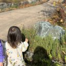 바다향기 | 대부도 가을 단풍명소 바다향기수목원 가족여행 후기 + 주차비