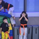 용인대 정무 태권도장 이미지