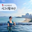 물고기 미포 | 부산 시그니엘 그랜드 디럭스 더블 미포하버뷰 아기랑 내돈내산 (라운지, 수영장, 아기용품)