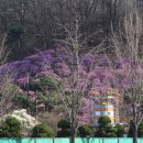 (주)효성 안양공장 이미지