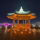 속초 저녁볼거리 엑스포타워 전망대 야경 , 숨은명소 청초호수공원 둘레길 청초정