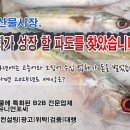 10월까지 말레이시아산 수산물 17% 감소 이미지