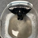 이랜드 peer서면 이미지