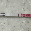 수정-10 | 인공수정(2차) 후기 1차 피검 수치 10, 낮지만 상승 가능할까?