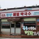 평양메밀막국수