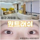 홈플러스 계림점 | 동구 계림동 속눈썹펌 원트래쉬 블랙틴팅펌 후기