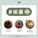 하이인셀덤