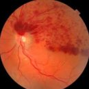 닥터스안경원 이미지