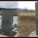 봉가지 이미지