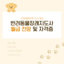 반려동물장례지도사 월급 전망 및 자격증 취득 후기