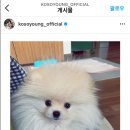 코코라이프