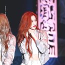 빨간머리 이미지