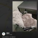 [일상공유] 한층 업그레이드된 프리미엄석 후기!