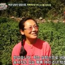 씻고올개 이미지