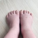 (주)천이코끼리주유소 | [임신 33~36주차] 임신후기 증상 및 병원진료 기록하기!