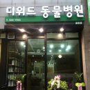 디위드동물병원 이미지