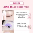 올리브영 셀프 속눈썹펌 키트 로잉즈 초보자 후기
