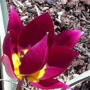 서천농장 이미지